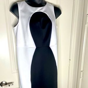 Eloquii Black and White midi dress